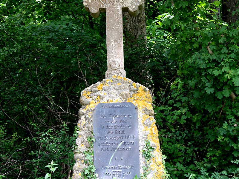 Battaglia di Friburgo