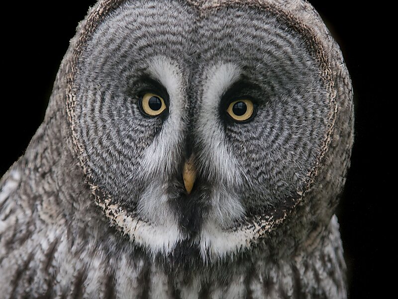 Paradise Wildlife Park