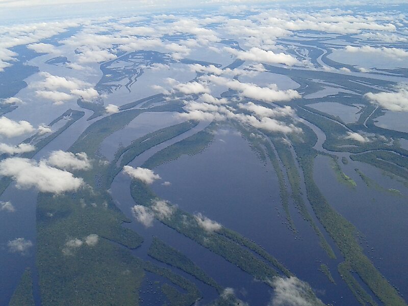 Parque Nacional de Anavilhanas