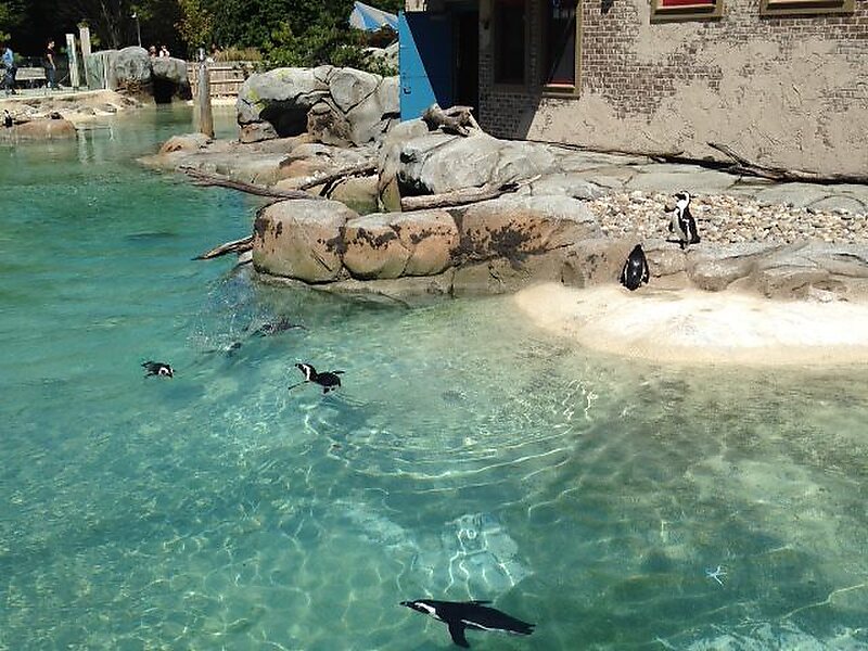 The Maryland Zoo in Baltimore in Baltimore, United States | Tripomatic