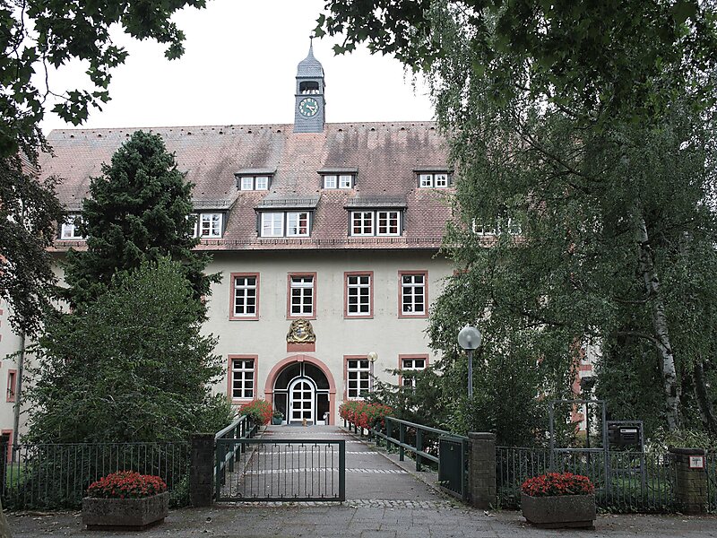 Wasserschloss Flehingen