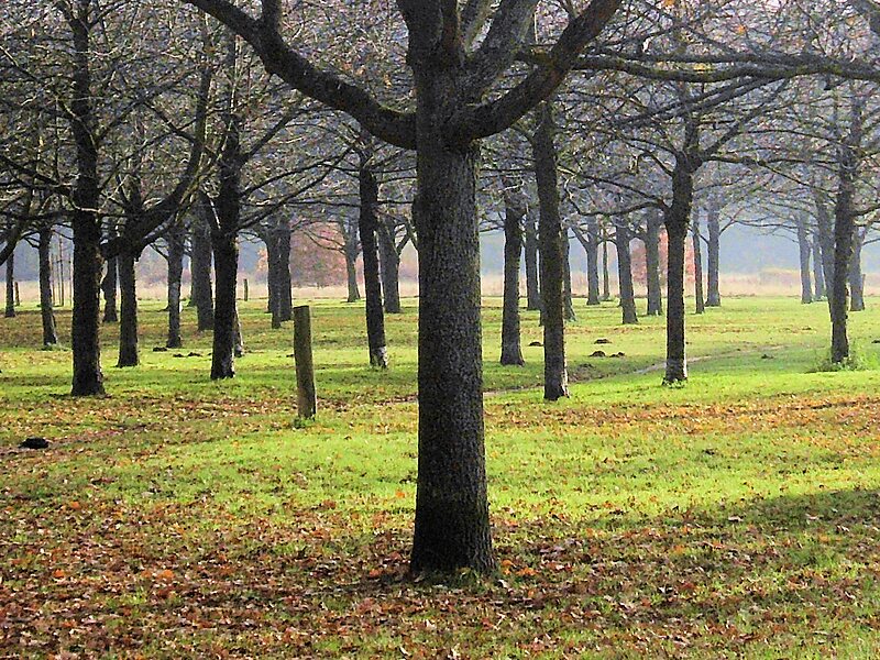 Hiroshima-Gedenkhain