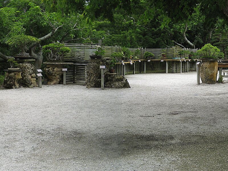 Morikami Museum And Japanese Gardens In Florida United States