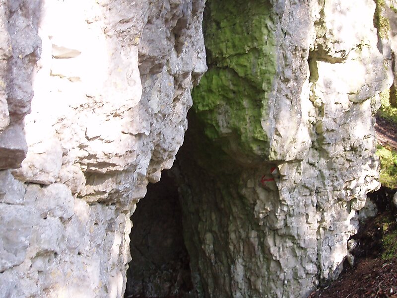 Schloss Greifenstein