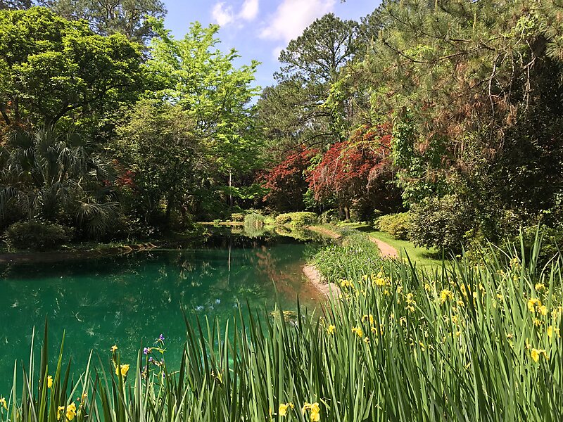 Alfred B Maclay Gardens State Park In Florida United States