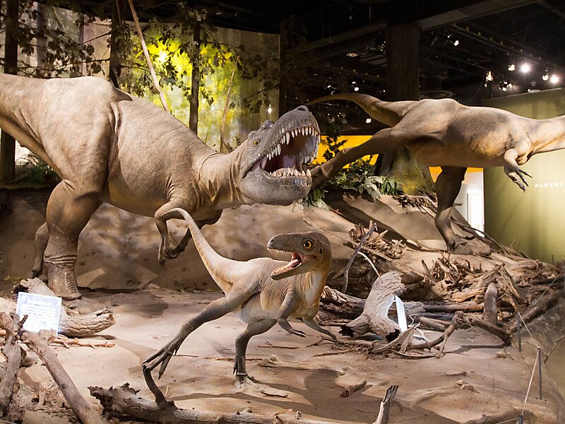 Royal Tyrrell Museum