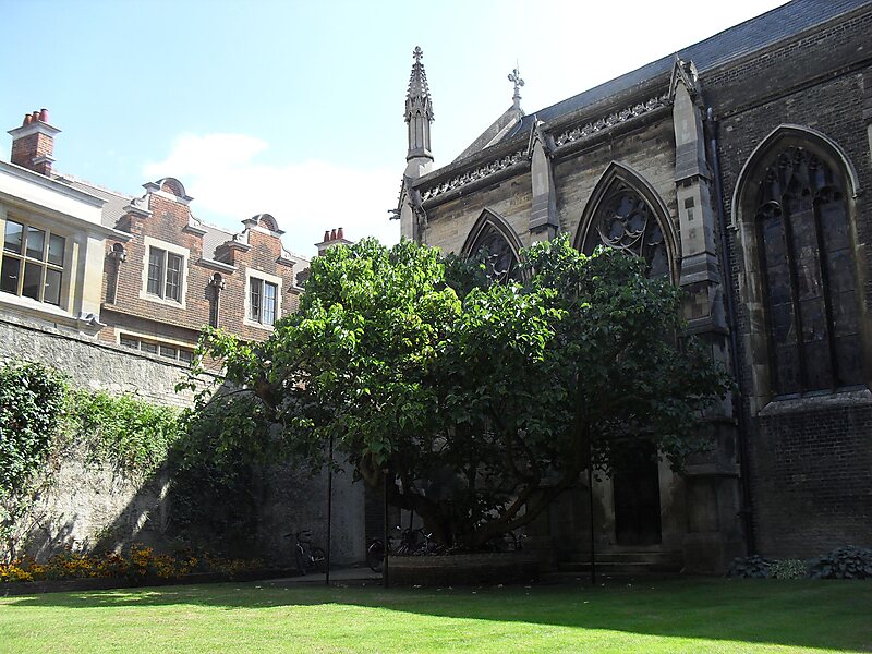 Corpus Christi College, Cambridge