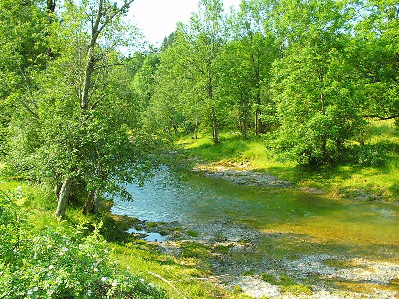 Römerkastell Vemania