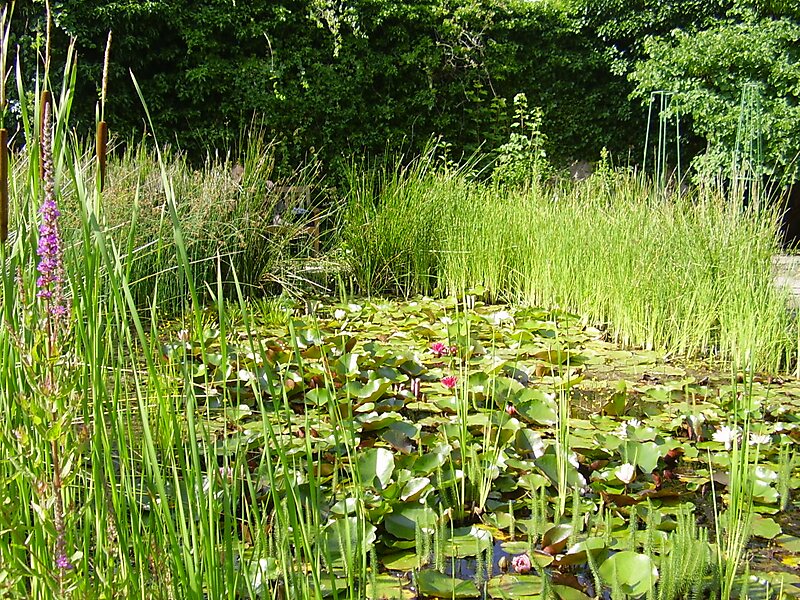 Old Botanical Garden Of Gottingen University In Innenstadt