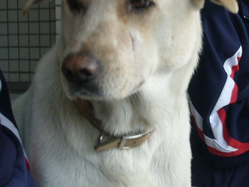 Taipei Municipal Datong High School