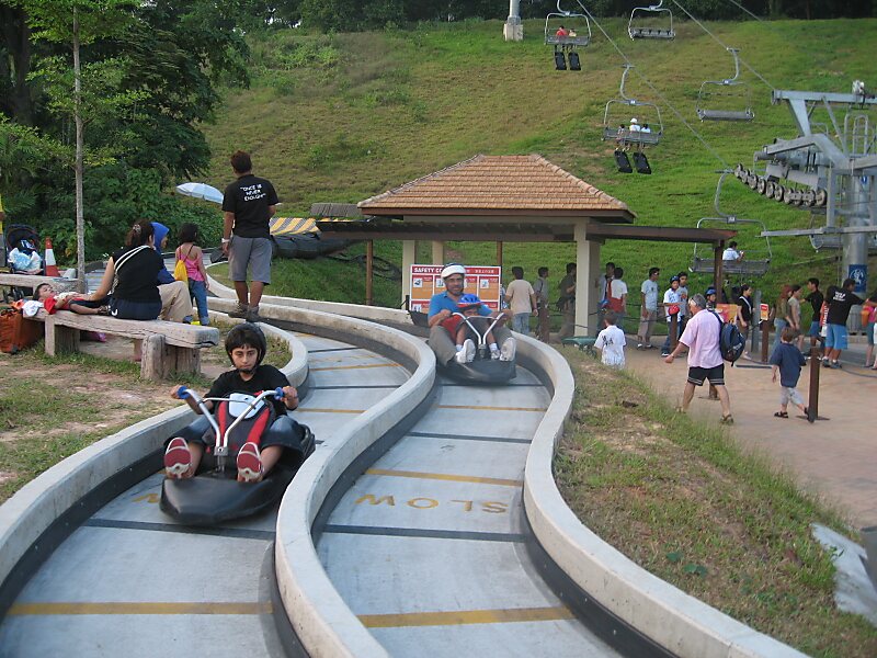 Luge Tracks  Skyline Luge Singapore