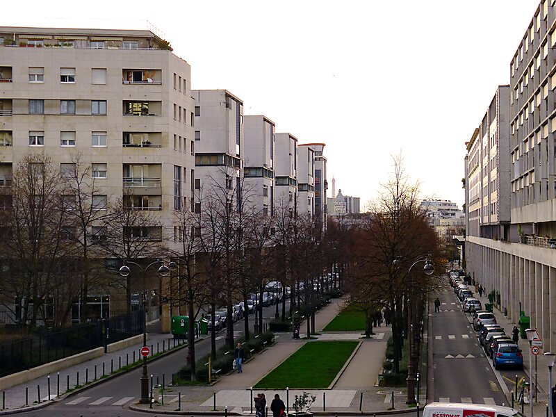 Tree-lined Walkway
