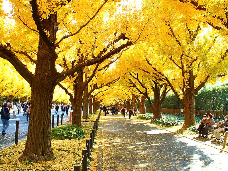 Meiji Memorial Picture Gallery