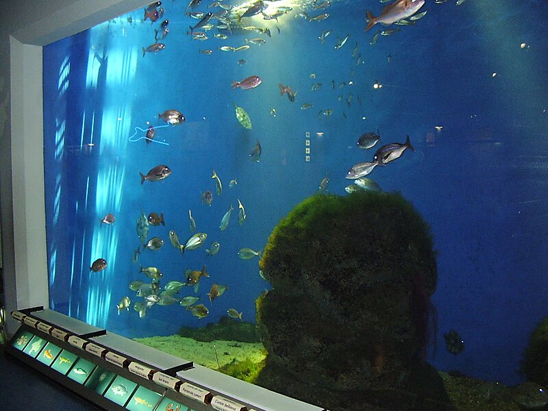 Aquarium Finisterrae
