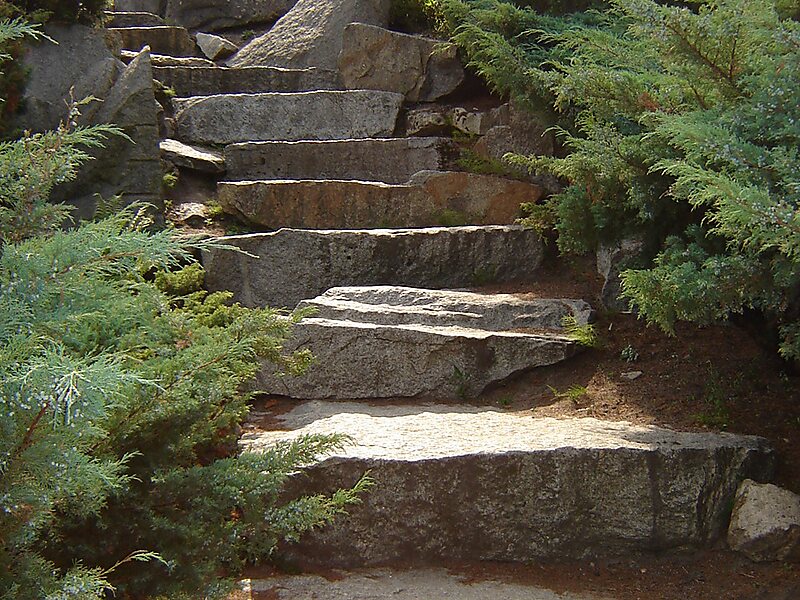 Ботанический сад