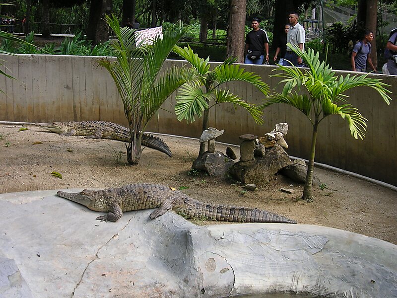 Caricuao Zoo