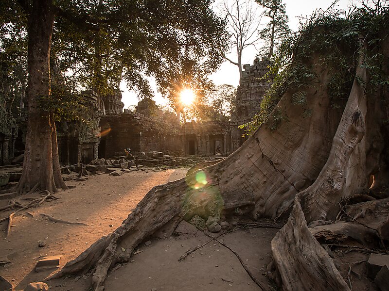 Ta Prohm