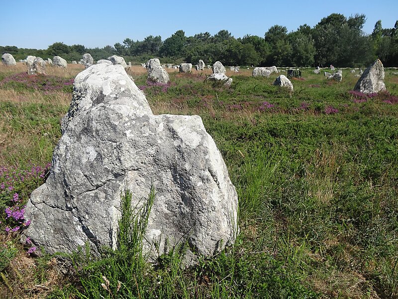 Musée de Préhistoire