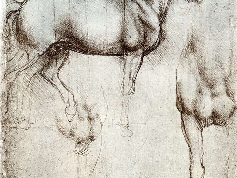 Leonardo's Horse