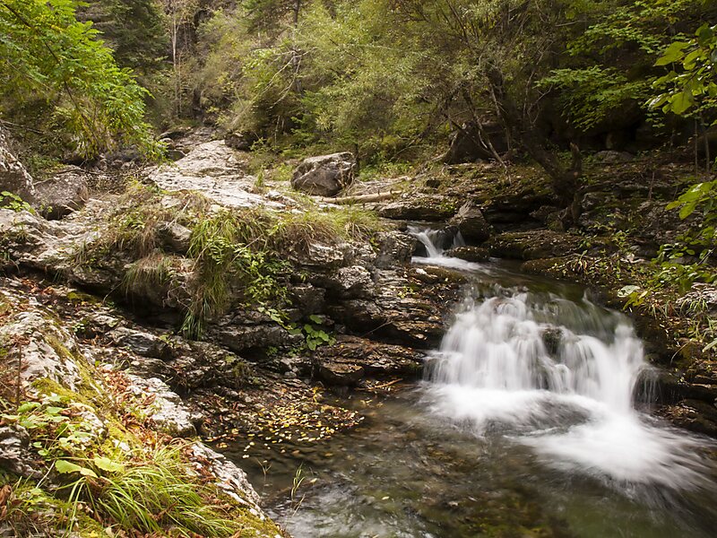 Chapelle Notre-Dame-des-Fontaines