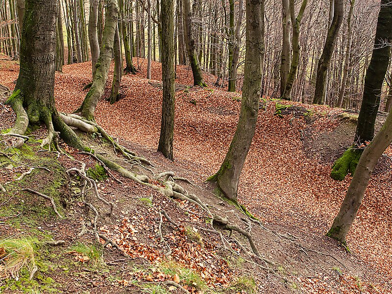 Wallanlage Alt-Sternberg