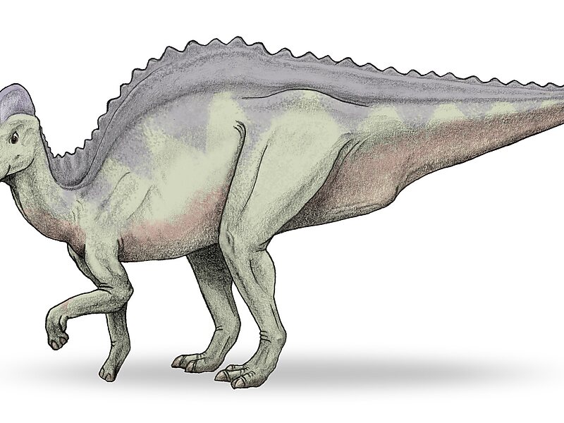 Hadrosaurio