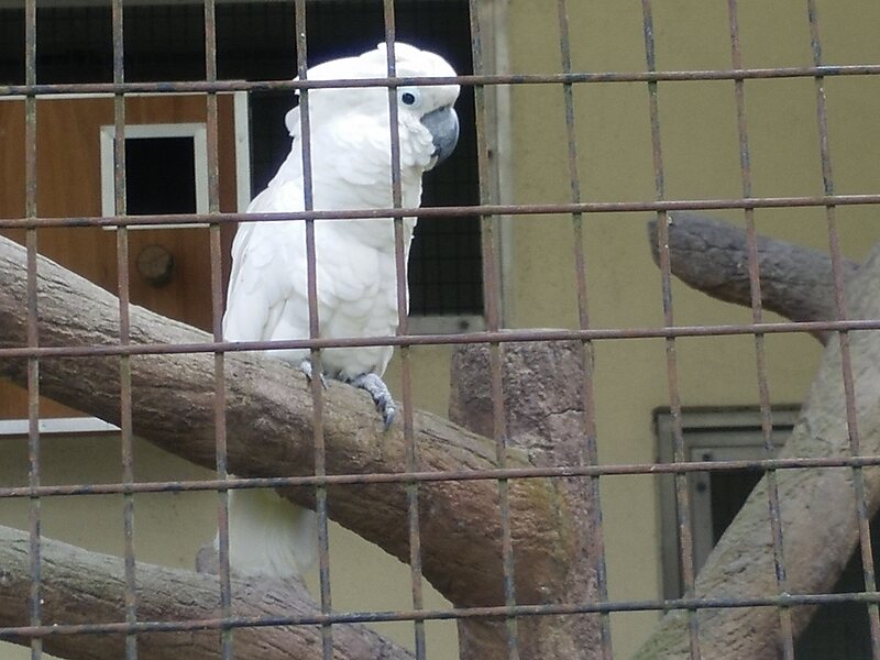 Kuala Lumpur Bird Park