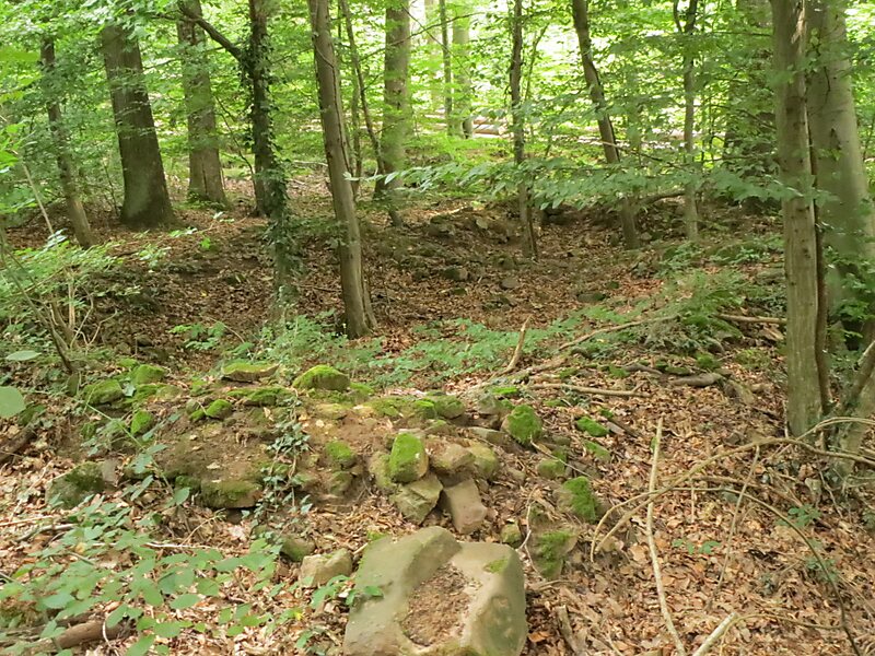 Burgstall Mauersechseck (Wolfsgrund)