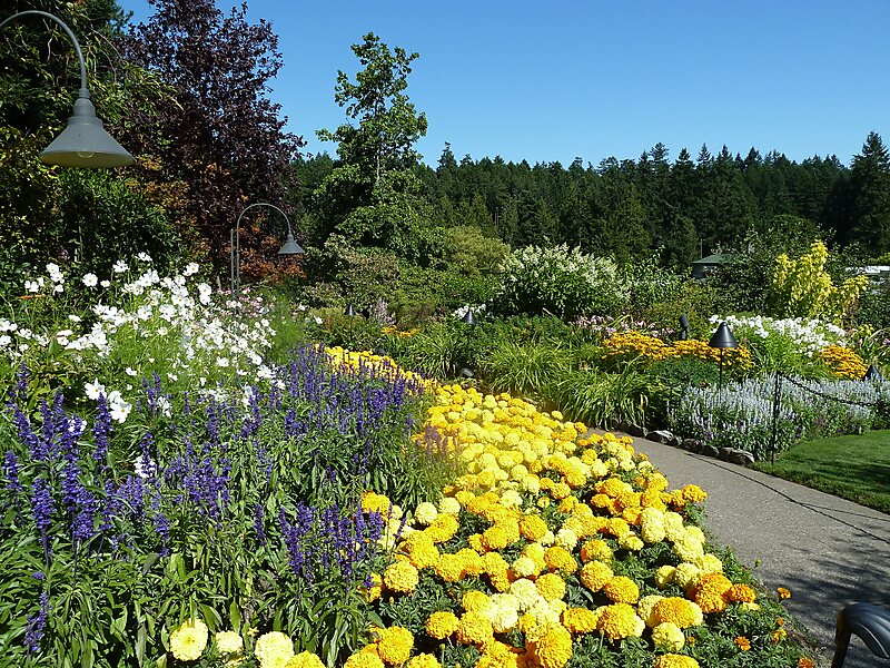 Butchart Gardens
