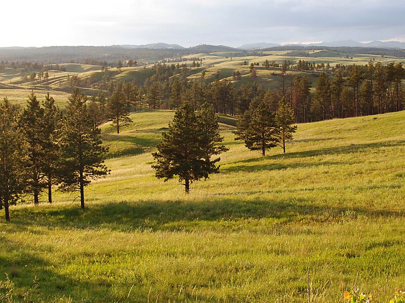 Wind Cave National Park Visitor Center