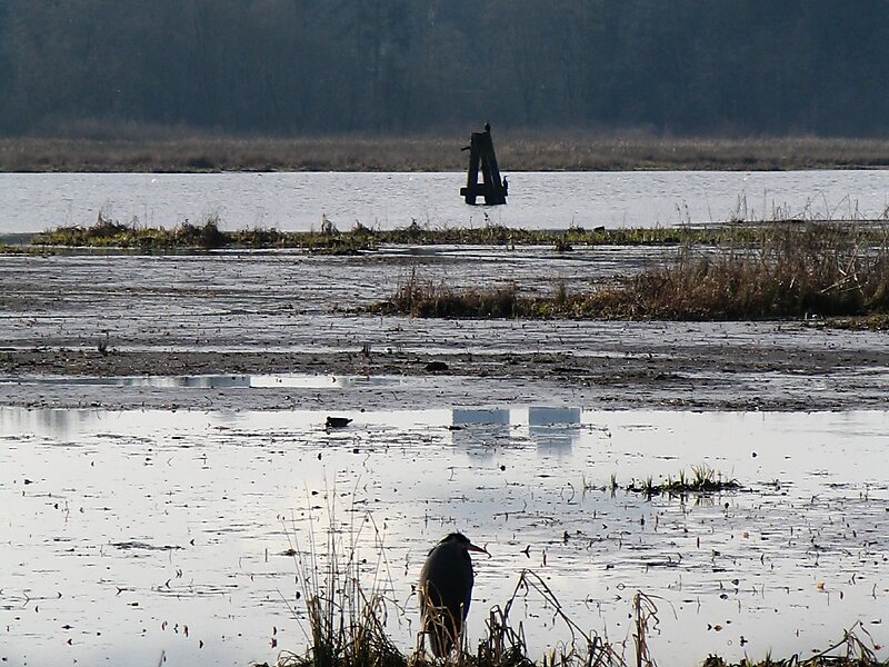 Burnaby Lake Regional Park