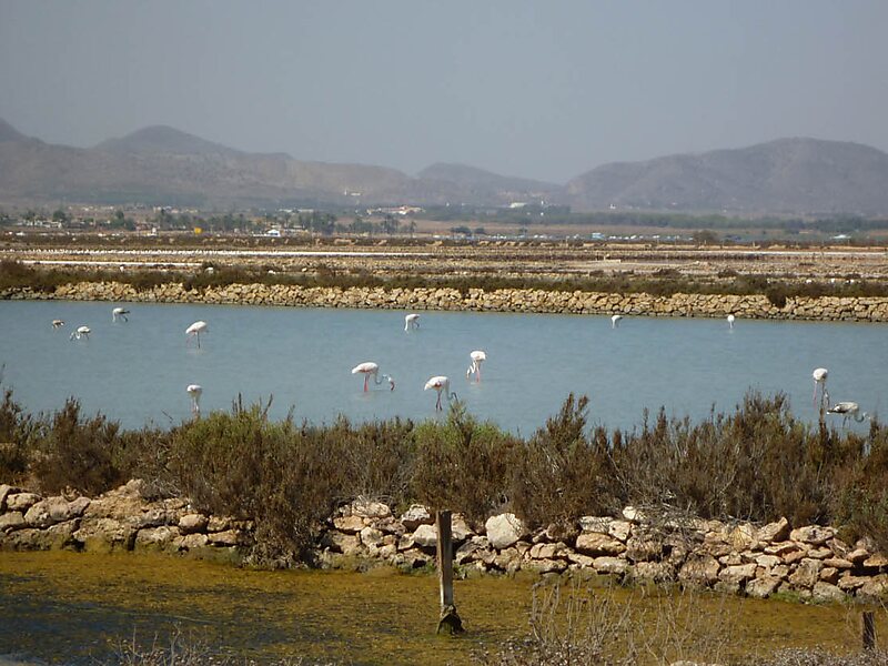 Espacios abiertos e islas del Mar Menor