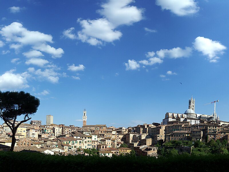 Siena