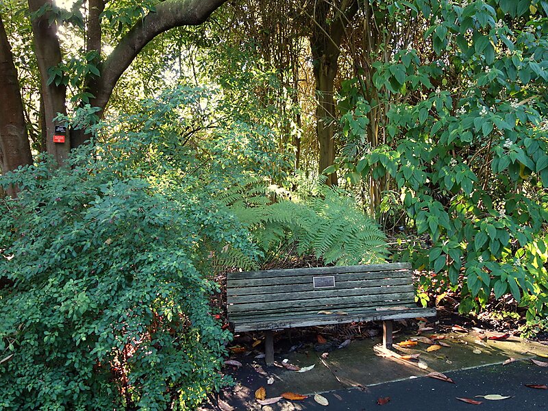 San Francisco Botanical Garden