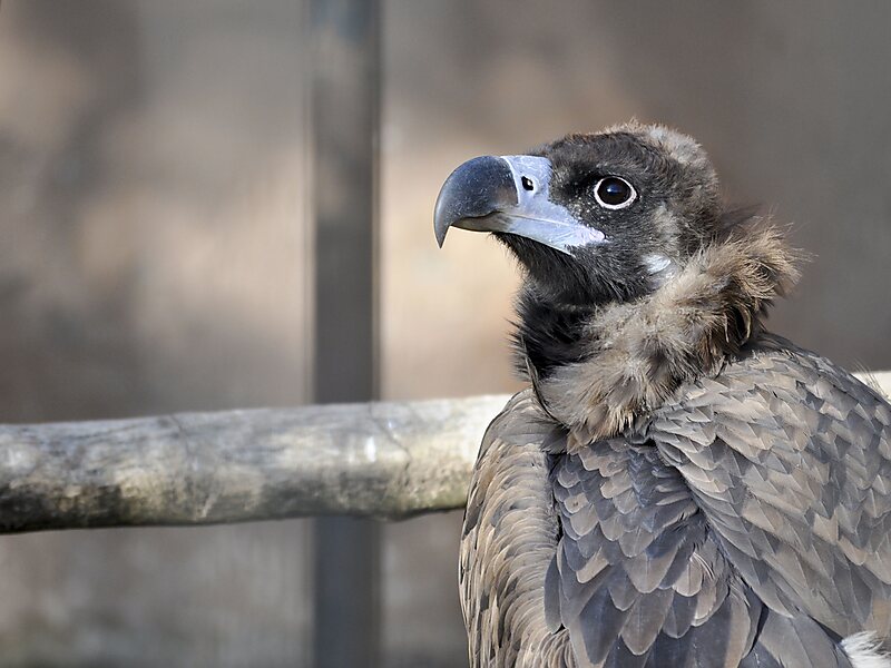 Zoo and Botanical Garden Jerez