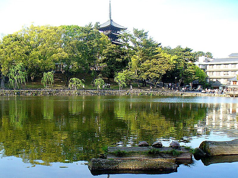 Sarusawa Pond