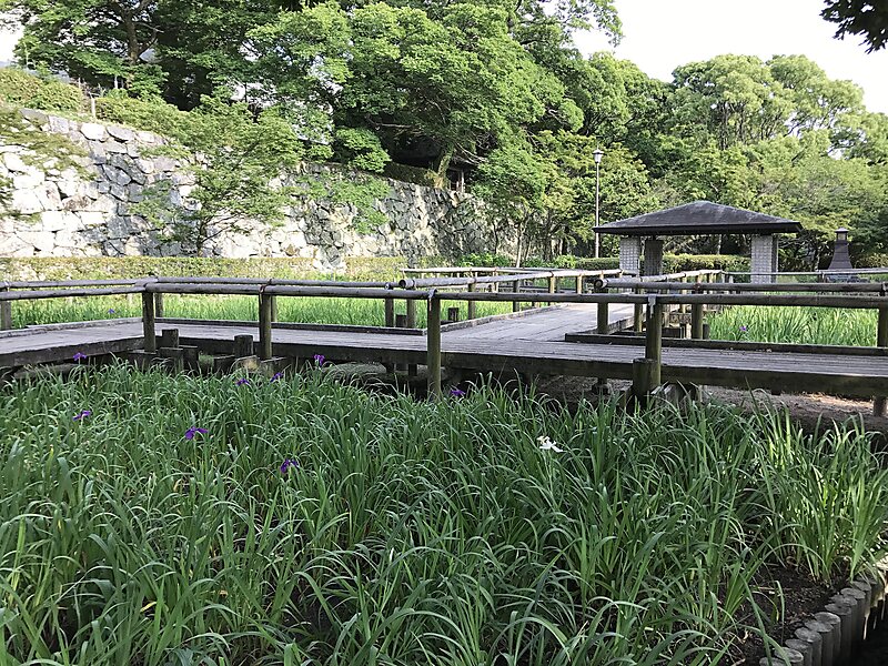 Maizuru Park