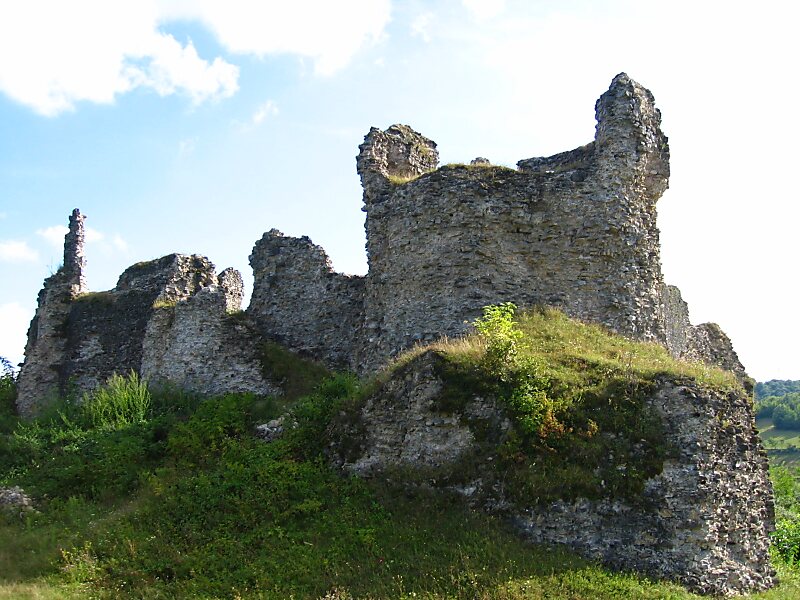 Bužim Fort