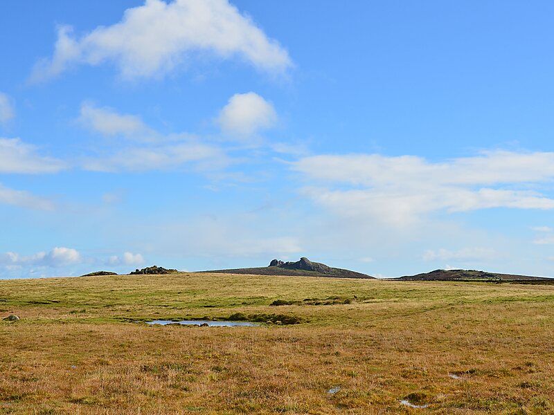 Dartmoor