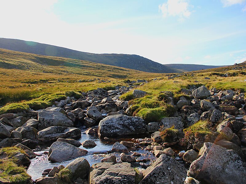 Wicklow Mountains National Park