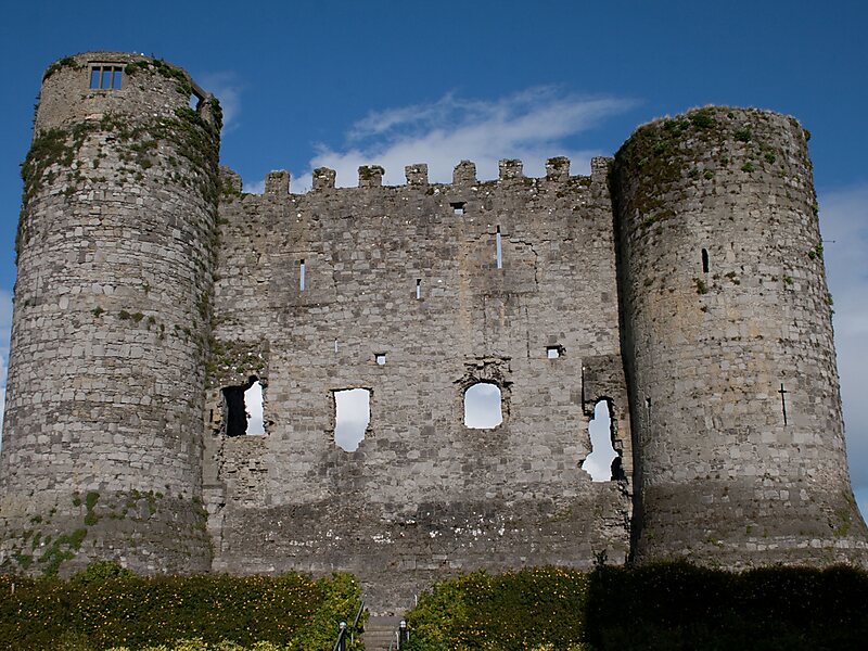 Carlow Castle