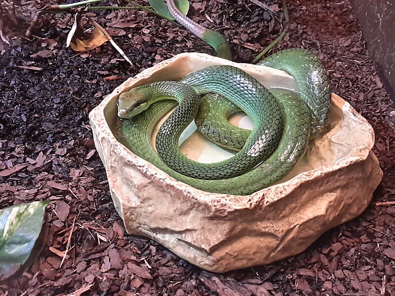 Oslo Reptile Park in Oslo, Norway Sygic Travel