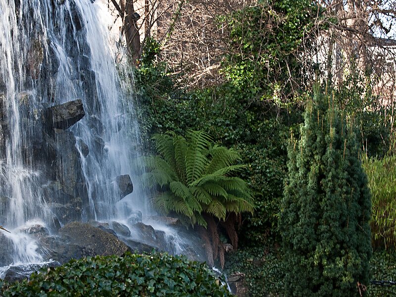 Iveagh Gardens
