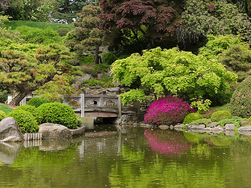 mapa del jardín botánico de brooklyn