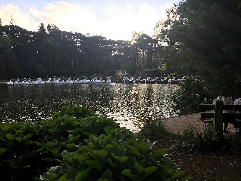 Parque do Lago Negro