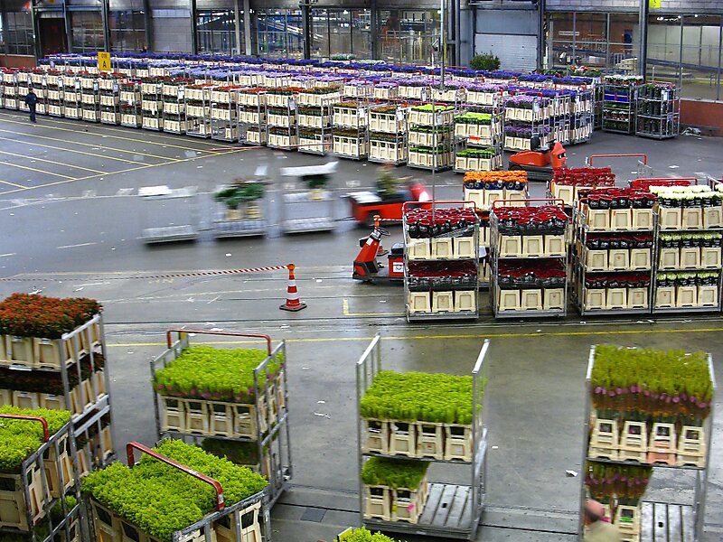 FloraHolland Aalsmeer