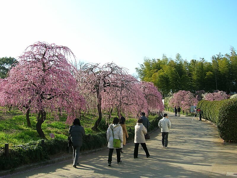 Nagoya Agricultural Center