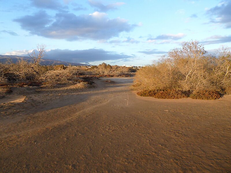 Maspalomas Dunes