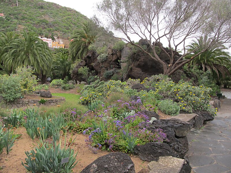 Botanical Garden of the Canaries