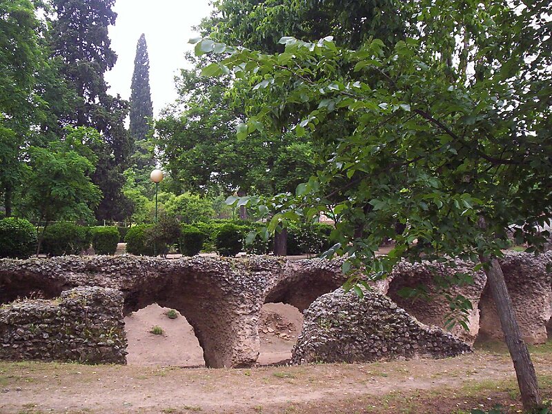 Roman Circus